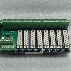 Digital Input Output Relay